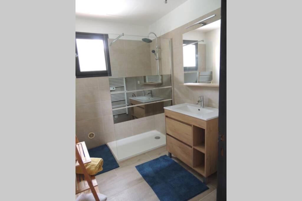 Les Chataigniers Appartement Meuble Saint-Sebastien  Ngoại thất bức ảnh